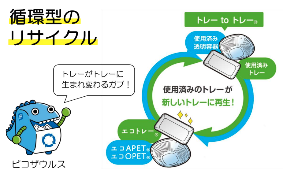 「循環型のリサイクル：トレー to トレー」を説明するイラスト。左側には大きな文字で「循環型のリサイクル」とあり、その下にキャラクターの「ピコザウルス」がリサイクルのロゴ入り容器を持って立っています。ピコザウルスの吹き出しには「トレーがトレーに生まれ変わるガブ！」と書かれています。右側には、青と緑の矢印による大きな循環図（リサイクルサイクル図）が描かれています。上部には「トレー to トレー®」のラベルがあり、「使用済み透明容器」と「使用済みトレー」のイラストが配置されています。図の中央に